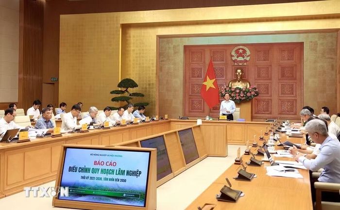Phó Thủ tướng Hồ Quốc Dũng chủ trì cuộc họp Hội đồng thẩm định điều chỉnh Quy hoạch lâm nghiệp thời kỳ 2021-2030, tầm nhìn đến 2050. (Ảnh: Tuấn Anh/TTXVN)