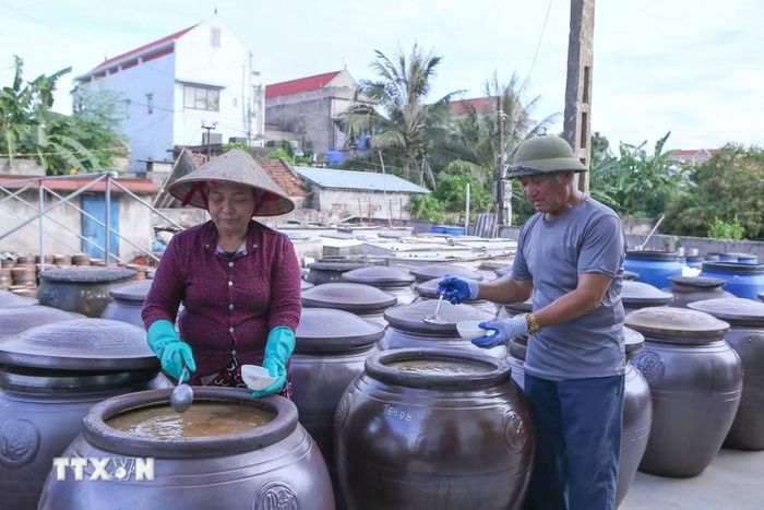 Kiểm tra độ mặn của nước mắm ủ trong chum. (Ảnh: Công Luật/TTXVN)