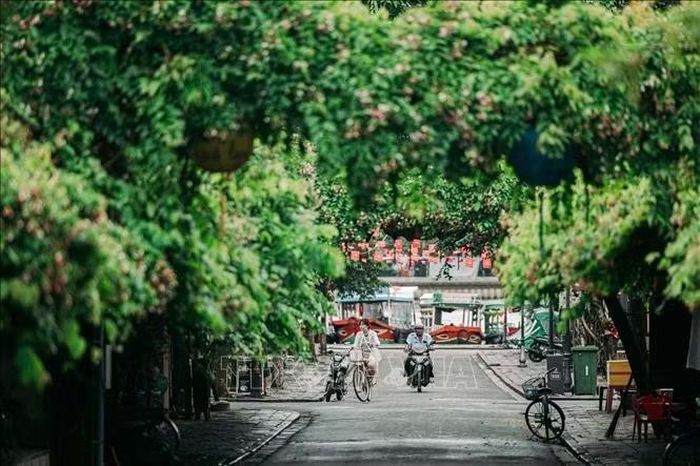 Cấu trúc phố hướng ra sông là dấu tích của một đô thị thương cảng, nơi kiến trúc, giao thương và đời sống cộng đồng đã gắn bó với nhau qua nhiều thế kỷ.