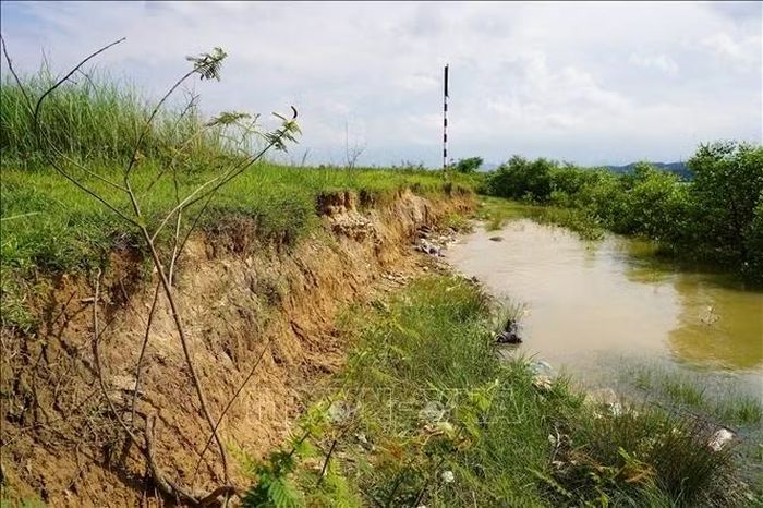 Tại một số vị trí, mép bờ tiếp tục bị dòng nước cuốn trôi, khiến diện tích đất nông nghiệp ngày càng bị thu hẹp.