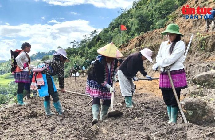 Mô hình trồng rau xanh theo hướng tập trung, an toàn ở xã Sì Lờ Lầu (Lai Châu) vừa tạo nguồn thu nhập cho nhân dân, vừa tạo nguồn thực phẩm tại chỗ phục vụ các trường liên cấp trên địa bàn biên giới.