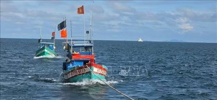 Tổ Công tác Bộ Tư lệnh Vùng Cảnh sát biển 4 dẫn giải 2 phương tiện vi phạm về Cảng Hải đội 422 ở Phú Quốc, An Giang. Ảnh: TTXVN phát