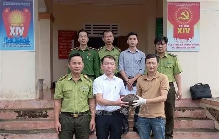 Cá thể tê tê Java thuộc nhóm IB có trọng lượng 3,8kg bị thương đang được chăm sóc, điều trị và phục hồi trước khi xem xét tái thả về môi trường tự nhiên theo quy định. Ảnh: TTXVN phát