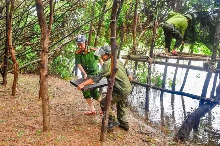 Lực lượng chức năng tháo dỡ điểm bẫy bắt chim trời. Ảnh: Công Tường/TTXVN