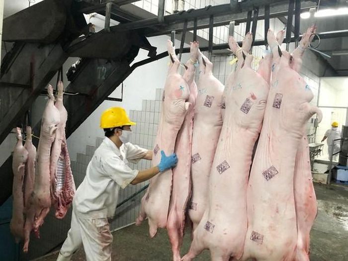 Doanh nghiệp Việt Nam còn gần 3 năm để rà soát tên sản phẩm, nhãn mác và hệ thống tiếp thị trước khi quy định mới của EU chính thức áp dụng (Ảnh minh họa).