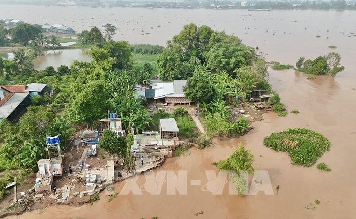Toàn cảnh khu vực đầu cồn thuộc tổ 1, ấp Mỹ Khánh 1, xã Mỹ Hòa Hưng, An Giang nơi bờ sông Hậu đang xảy ra sạt lở nghiêm trọng kéo dài 100m, ăn sau vào bờ khoảng 7m. Ảnh: Thanh Sang-TTXVN