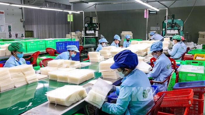 Công nhân thực hiện các công đoạn kiểm tra sản phẩm bánh tráng Tân Nhiên trước khi đóng gói và đưa sản phẩm ra thị trường. Ảnh: Minh Phú - TTXVN