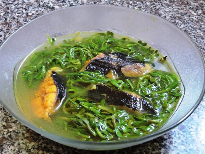 Cá trê nấu canh rau đắng.