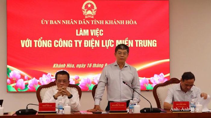 Ông Nguyễn Tài Anh, Phó Tổng giám đốc EVN phát biểu tại buổi làm việc