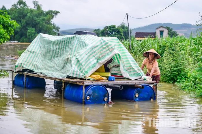 Tại xã Thạch Bình, bà Nguyễn Thị Oanh, 62 tuổi, ở thôn Nông Trường đã di chuyển tài sản và vật nuôi khi nước lũ dâng cao.
