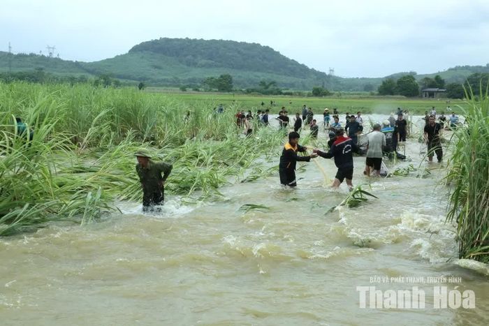 Người dân xã Ngọc Trạo bắt cá dưới dòng nước lũ.