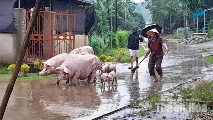 Người dân xã Nguyệt Ấn được hướng dẫn di dời tài sản, vật nuôi trước tình trạng nước sông Âm dâng cao.