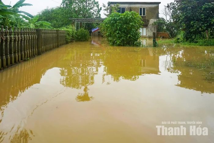 Mưa lớn dự báo còn tiếp diễn, trong khi nước lũ tại nhiều khu dân cư chưa rút, khiến cuộc sống của người dân xã Nông Cống tiếp tục bị ảnh hưởng. Chính quyền địa phương đang duy trì lực lượng ứng trực, theo dõi sát tình hình để kịp thời hỗ trợ người dân khi có tình huống phát sinh.