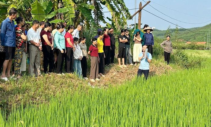 Bồi dưỡng kiến thức canh tác lúa thân thiện môi trường tại thôn Chung Sơn, xã An Lạc.