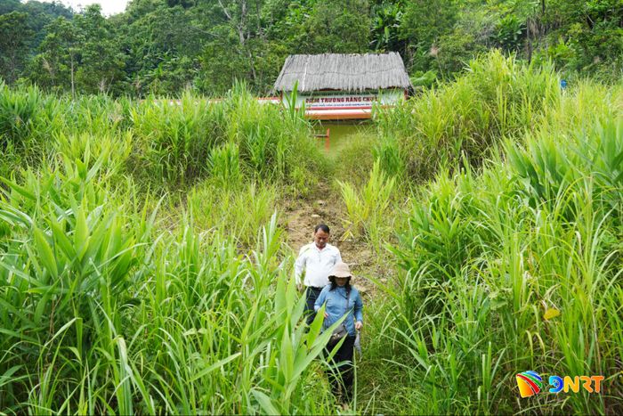 Cơ sở hạ tầng thiết yếu là vấn đề cần được quan tâm đầu tiên khi thành lập các khu tái định cư mới. Ảnh: PHÚ THIỆN
