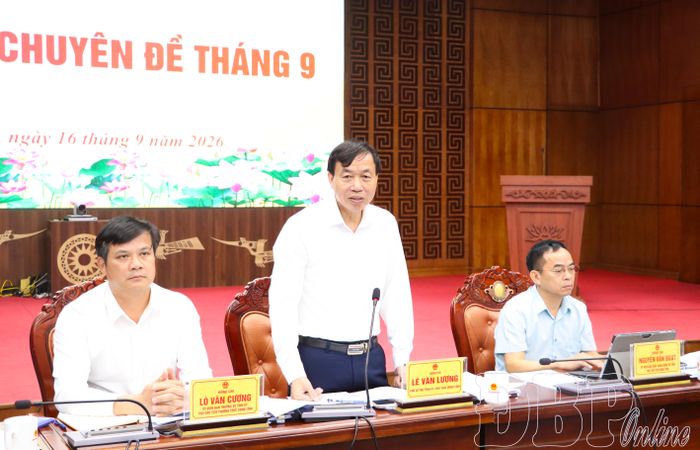 Chủ tịch UBND tỉnh Lê Văn Lương kết luận tại phiên họp.