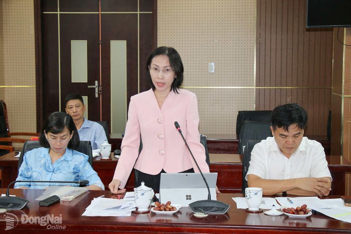 Phó Giám đốc Sở Tài chính Phan Thị Kim Oanh chia sẻ tại buổi làm việc. Ảnh: Hải Quân