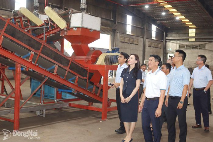 Các đại biểu tham quan hệ thống sản xuất phân bón. Ảnh: Hoàng Lộc