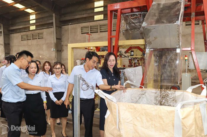 Sản phẩm phân bón hữu cơ dạng mùn được làm từ nguyên liệu chính là rác thải sinh hoạt. Ảnh: Hoàng Lộc