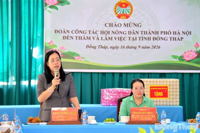 Chủ tịch Hội Nông dân tỉnh Đồng Tháp Nguyễn Thị Hồng Phượng phát biểu tại buổi làm việc.