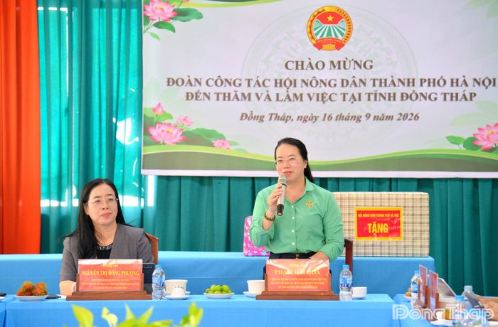 Chủ tịch Hội Nông dân TP. Hà Nội Phạm Hải Hoa phát biểu tại buổi làm việc.