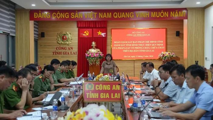  Trưởng Ban Pháp chế HĐND tỉnh Đinh Ly An kết luận buổi làm việc. Ảnh: N.L 