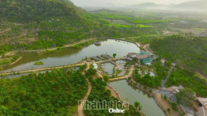 Sản Việt Farm rộng 120ha với nhiều cây trồng, vật nuôi và hoạt động trải nghiệm nông nghiệp.