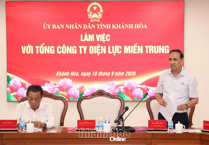 Lãnh đạo Tổng Công ty Truyền tải điện quốc gia phát biểu ý kiến.