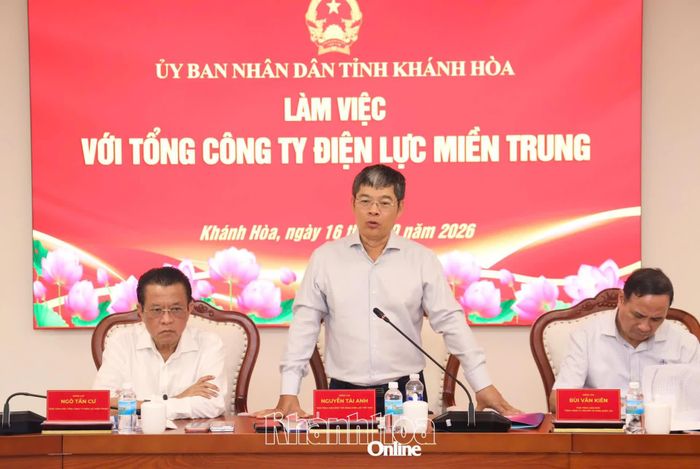 Lãnh đạo EVN báo cáo tại buổi làm việc.