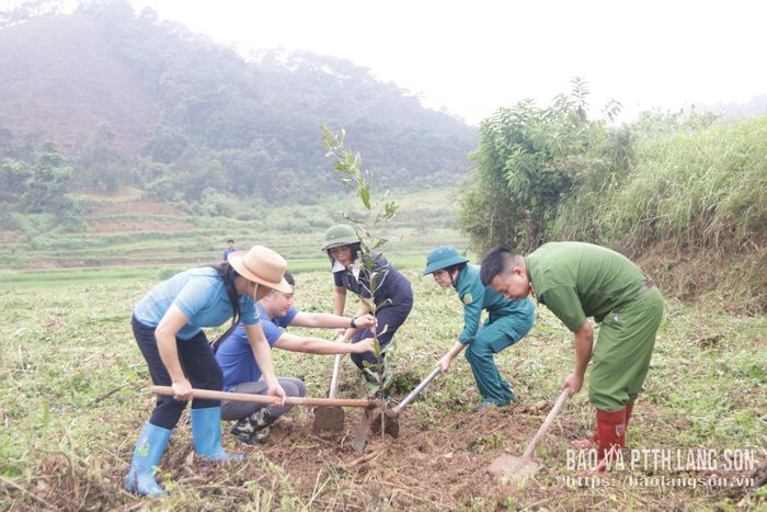 Lãnh đạo UBND phường Kỳ Lừa cùng các lực lượng hỗ trợ người dân trồng cây mắc ca