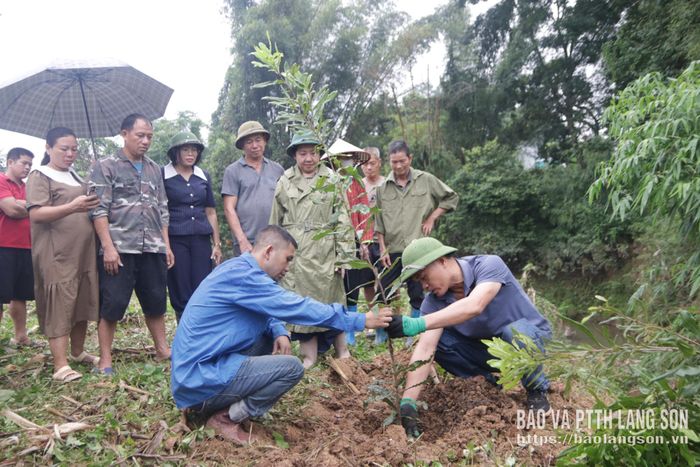 Cán bộ kỹ thuật hướng dẫn người dân cách trồng cây mắc ca