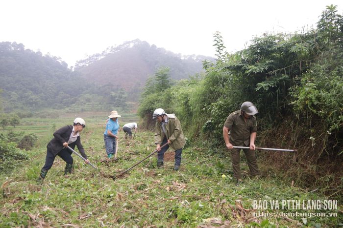 Lãnh đạo UBND phường Kỳ Lừa cùng các lực lượng hỗ trợ người dân phát dọn, đào hố trồng cây mắc ca
