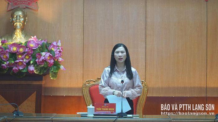 Đồng chí Trần Thanh Nhàn, Phó Chủ tịch UBND tỉnh phát biểu kết luận cuộc họp
