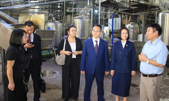 Đoàn khảo sát tại Khu công nghiệp Đông Phố Mới.