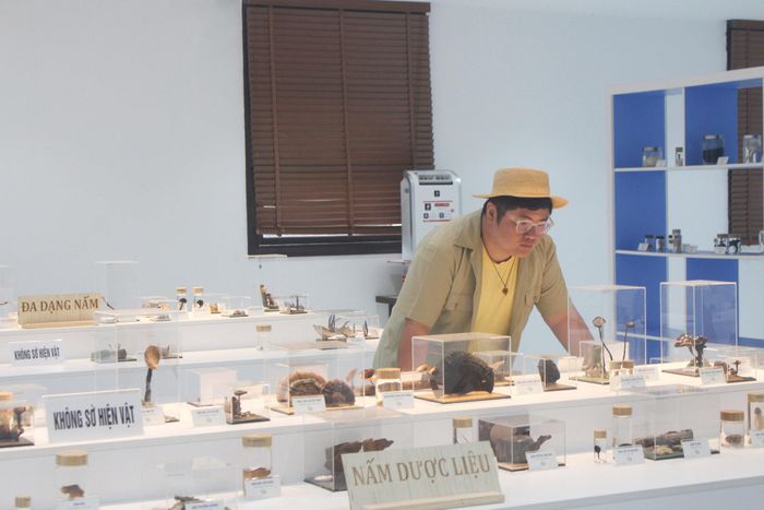 Không gian trưng bày đa dạng nấm