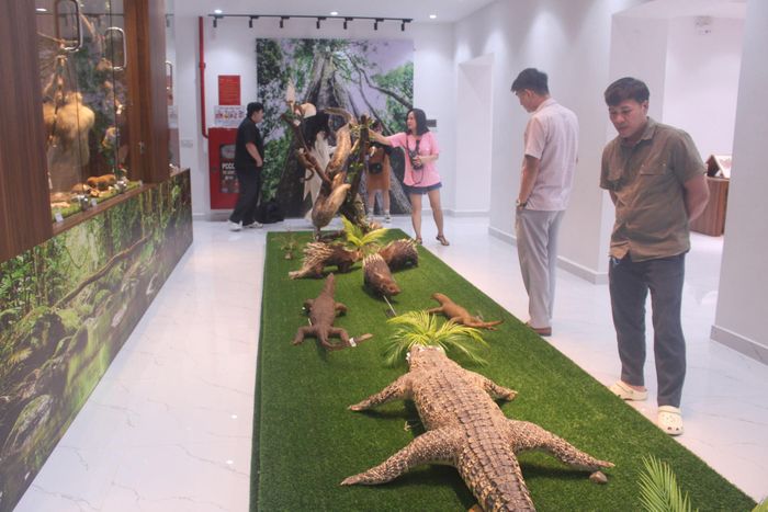 Bảo tàng vừa đi vào hoạt động trở lại, cuốn hút du khách