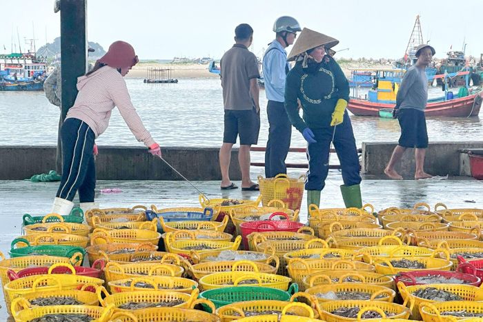 Hoạt động nghề cá tại cảng La Gi