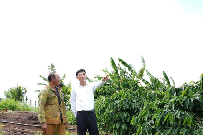 Ông Dương Huy Toàn - Tỉnh ủy viên, Bí thư Đảng ủy, Chủ tịch HĐND xã Quảng Trực trực tiếp khảo sát, nắm bắt tình hình đời sống người dân để việc ban hành nghị quyết đúng và sát cơ sở