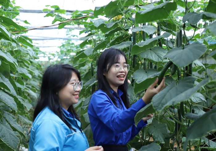 Từ những định hướng mới, câu chuyện khởi nghiệp đặt ra yêu cầu tăng cường kết nối và chia sẻ nguồn lực