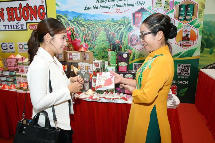 Nhiều HTX sản xuất thanh long trong tỉnh cũng mong muốn có cơ hội tham gia Festival Thanh long Bình Thuận