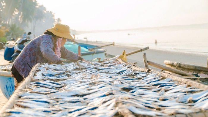 Hải sản khô được xem là đặc sản của vùng Đông Lâm Đồng