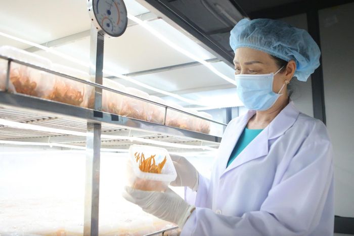 Kiểm tra sản phẩm là một khâu tạo lập dữ liệu phục vụ quản lý và nâng cao giá trị sản phẩm