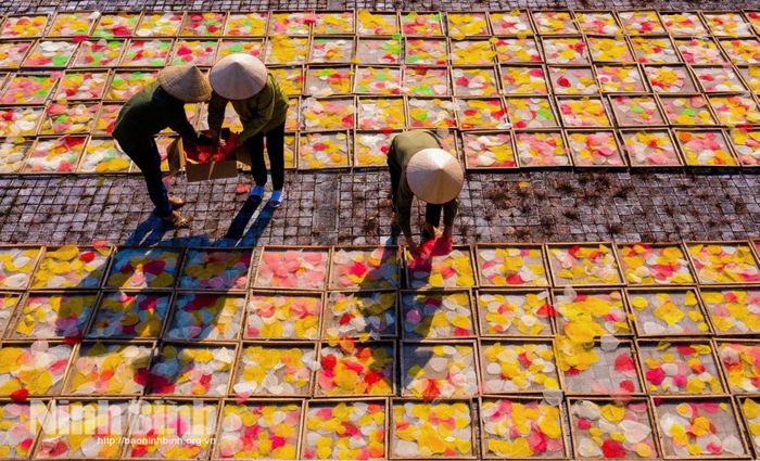 Làng nghề Sinh Dược, phường Tây Hoa Lư tạo việc làm cho nhiều lao động địa phương.