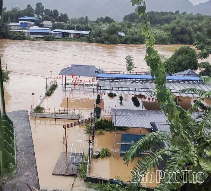 Lượng mưa lớn trong nhiều ngày đã làm cho nhiều nhà dân, trường học trên địa bàn xã Dũng Tiến bị ngập sâu dưới nước.