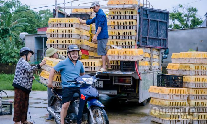 Trao sinh kế cho các hộ gia đình có hoàn cảnh khó khăn - Ảnh: P.V