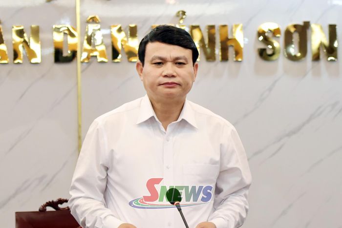 Đồng chí Đặng Ngọc Hậu, Phó Chủ tịch UBND tỉnh, phát biểu tại cuộc làm việc.