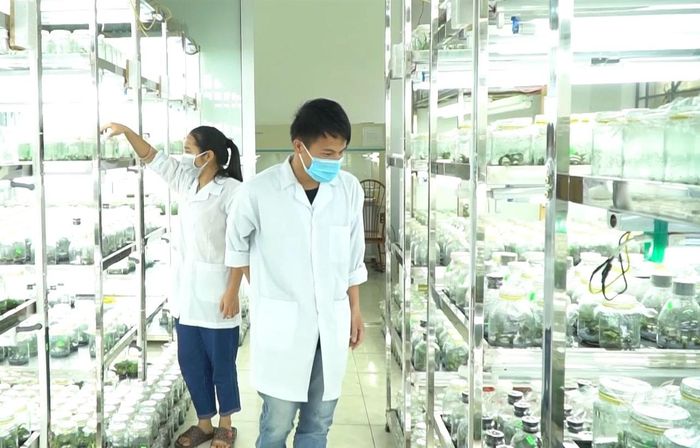 Đội ngũ trí thức khoa học công nghệ đã có nhiều đóng góp cho sự phát triển của tỉnh Thái Nguyên thời gian qua.