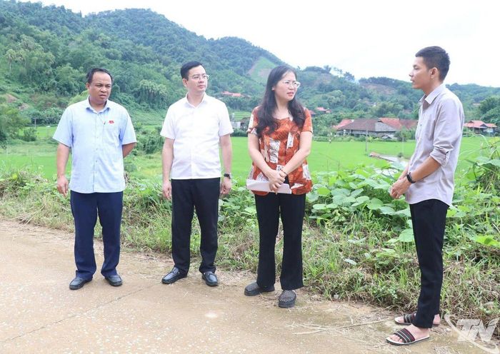 Đoàn khảo sát kiểm tra thực tế tại xã Nghinh Tường.