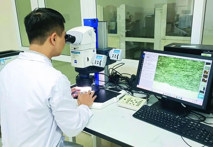 Công chức Chi cục Kiểm định hải quan xét nghiệm mẫu hàng hoá nhập khẩu của doanh nghiệp. Ảnh: AK.KĐHQ
