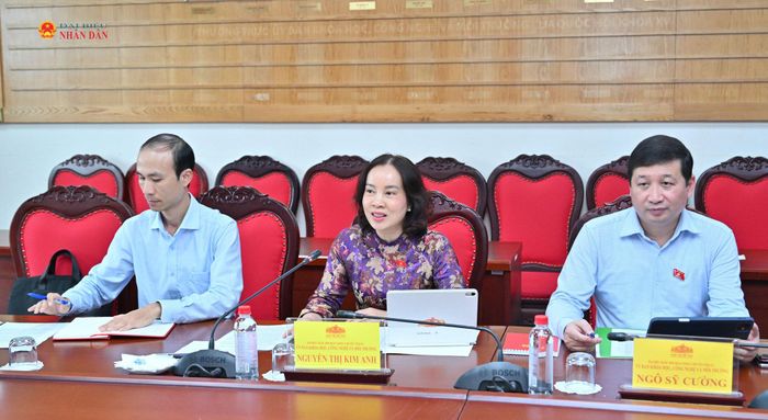 ĐBQH hoạt động chuyên trách tại Ủy ban Khoa học, Công nghệ và Môi trường Nguyễn Thị Kim Anh phát biểu